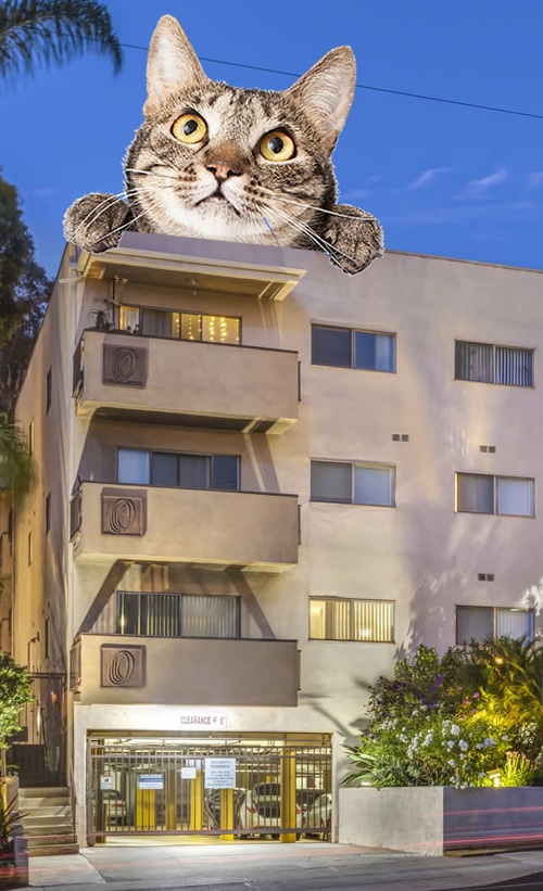 Del Rio Apartments in West Los Angeles Del Rio Apartments in West Los Angeles: A cat sits on top of an apartment building.